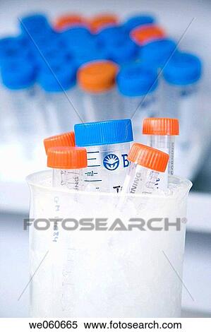 Stock Photography - Dry ice for sample freezing, culture room, biopharmaceutical lab, development of new therapeutic molecules based on human antibodies for the treatment of infectious and inflammatory diseases, Biotherapix, Grupo Genetrix, Madrid. Fotosearch