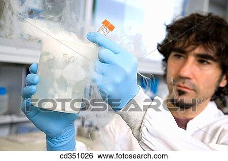 Dry ice frozen samples, culture room, biopharmaceutical lab, development of new therapeutic molecules based on human antibodies for the treatment of infectious and inflammatory diseases, Biotherapix, Grupo Genetrix, Madrid View Large Photo Image Stock Photograph - Dry ice frozen samples, culture room, biopharmaceutical lab, development of new therapeutic molecules based on human antibodies for the treatment of infectious and inflammatory diseases, Biotherapix, Grupo Genetrix, Madrid. Fotosearch