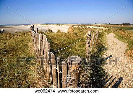East Head dunes protected area, Chichester Harbour. England, UK View Large Photo Image Picture - East Head dunes protected area, Chichester Harbour. England, UK. Fotosearch