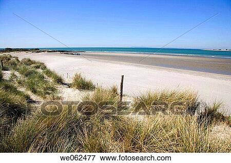 Stock Photo - East Head dunes protected area, Chichester Harbour. England, UK. Fotosearch