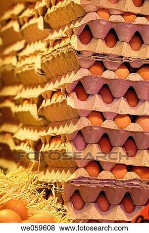 Eggs. La Boquer? a market. Barcelona. Spain. View Large Photo Image Stock Photo - Eggs. La Boquer? a market. Barcelona. Spain.. Fotosearch
