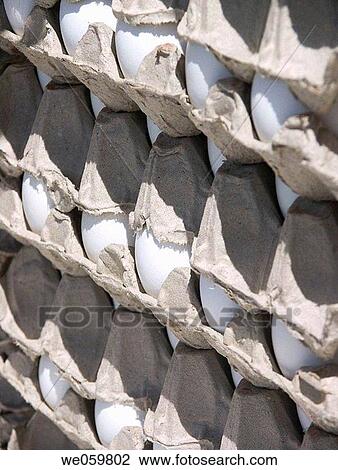 Eggs. View Large Photo Image Stock Image - Eggs.. Fotosearch