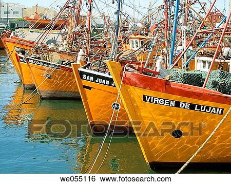 Fishing boats moored at port, Mar del Plata, Argentina View Large Photo Image Stock Photograph - Fishing boats moored at port, Mar del Plata, Argentina. Fotosearch