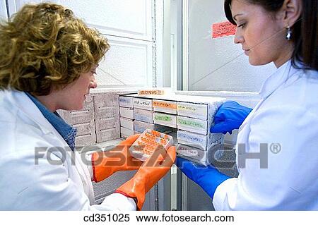 Stock Photography - Freezer, cryopreservation of samples, biopharmaceutical lab, development and production of innovative drugs using adult stem cells, Cellerix, Grupo Genetrix, Madrid. Fotosearch