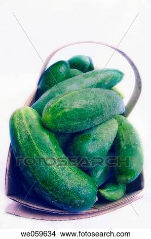 Freshly picked cucumbers. Cucumis sativus. July 2005, Maryland, USA View Large Photo Image Picture - Freshly picked cucumbers. Cucumis sativus. July 2005, Maryland, USA. Fotosearch