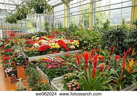 Garden centre, Luchon. Midi-Pyr? n? es, France View Large Photo Image Picture - Garden centre, Luchon. Midi-Pyr? n? es, France. Fotosearch
