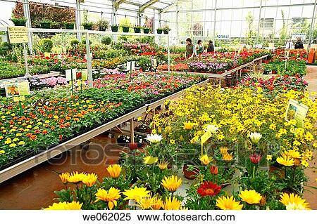 Garden centre, Luchon. Midi-Pyr? n? es, France View Large Photo Image Stock Photography - Garden centre, Luchon. Midi-Pyr? n? es, France. Fotosearch