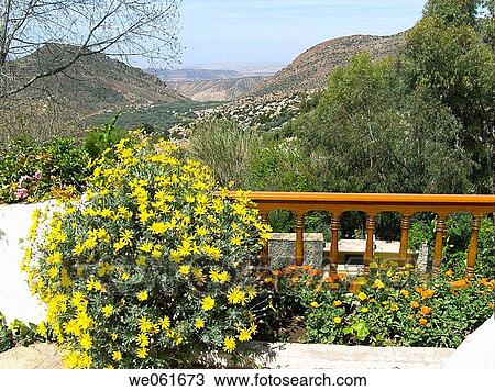 Garden of H? tel des Cascades, Immouzer. Agadir region, Morocco View Large Photo Image Stock Image - Garden of H? tel des Cascades, Immouzer. Agadir region, Morocco. Fotosearch