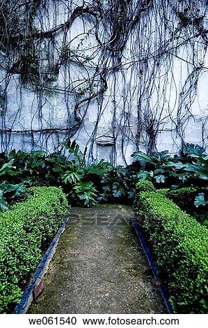 Gardens of Casa de Pilatos, Sevilla. Andalucia, Spain View Large Photo Image Stock Image - Gardens of Casa de Pilatos, Sevilla. Andalucia, Spain. Fotosearch