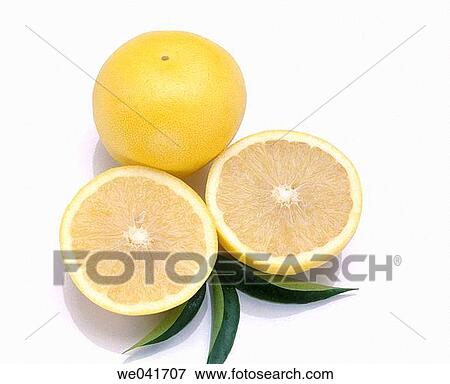 Grapefruit View Large Photo Image Stock Photo - Grapefruit. Fotosearch