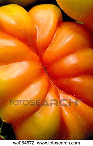 Heart-shaped tomatoe at La Boqueria market, Barcelona. Catalonia, Spain View Large Photo Image Stock Image - Heart-shaped tomatoe at La Boqueria market, Barcelona. Catalonia, Spain. Fotosearch