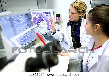 Picture - Histological cuts, confocal microscope, biopharmaceutical lab, development and production of innovative drugs using adult stem cells, Cellerix, Grupo Genetrix, Madrid. Fotosearch