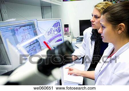Histological cuts, confocal microscope, biopharmaceutical lab, development and production of innovative drugs using adult stem cells, Cellerix, Grupo Genetrix, Madrid View Large Photo Image Stock Image - Histological cuts, confocal microscope, biopharmaceutical lab, development and production of innovative drugs using adult stem cells, Cellerix, Grupo Genetrix, Madrid. Fotosearch