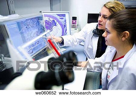 Histological cuts, confocal microscope, biopharmaceutical lab, development and production of innovative drugs using adult stem cells, Cellerix, Grupo Genetrix, Madrid View Large Photo Image Stock Image - Histological cuts, confocal microscope, biopharmaceutical lab, development and production of innovative drugs using adult stem cells, Cellerix, Grupo Genetrix, Madrid. Fotosearch