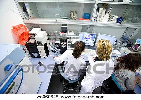 Histological cuts, confocal microscope, biopharmaceutical lab, development and production of innovative drugs using adult stem cells, Cellerix, Grupo Genetrix, Madrid View Large Photo Image Stock Photo - Histological cuts, confocal microscope, biopharmaceutical lab, development and production of innovative drugs using adult stem cells, Cellerix, Grupo Genetrix, Madrid. Fotosearch