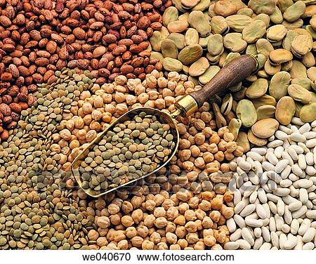 Legumes View Large Photo Image Stock Image - Legumes. Fotosearch