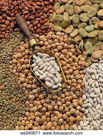 Legumes View Large Photo Image Stock Image - Legumes. Fotosearch