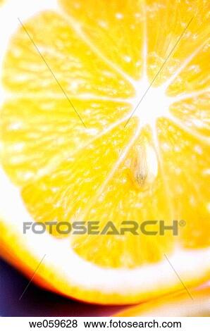 Lemon cut in half. Citrus limonum. January 2007, Maryland, USA View Large Photo Image Stock Photo - Lemon cut in half. Citrus limonum. January 2007, Maryland, USA. Fotosearch