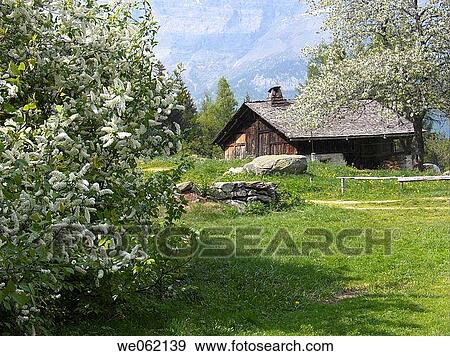 Les Houches near Chamonix. Haute-Savoie, France View Large Photo Image Stock Photo - Les Houches near Chamonix. Haute-Savoie, France. Fotosearch