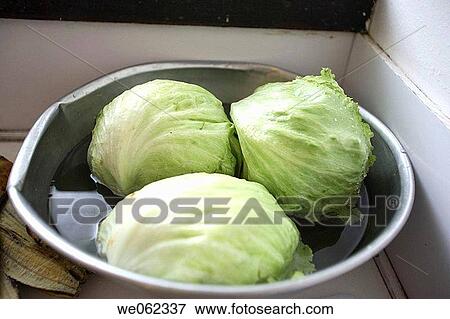 Lettuce in water metal bowl View Large Photo Image Stock Photo - Lettuce in water metal bowl. Fotosearch