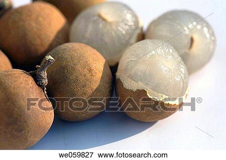 Longans (Dimocarpus longan, Euphoria longana) with its yellow_brown skin and an opened Longan showing its fresh, translucent white pulp View Large Photo Image Stock Photo - Longans (Dimocarpus longan, Euphoria longana) with its yellow_brown skin and an opened Longan showing its fresh, translucent white pulp. Fotosearch