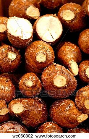 Stock Image - Manioc, Manihot asculenta. La Boquer? a market. Barcelona. Spain.. Fotosearch