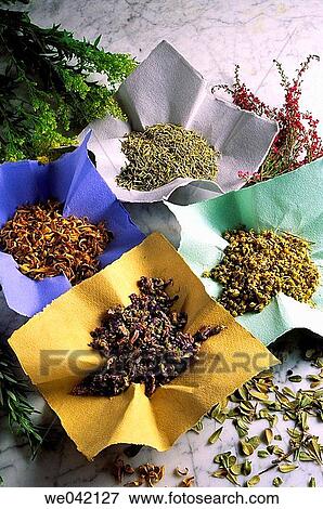 Medicinal herbs View Large Photo Image Stock Photo - Medicinal herbs. Fotosearch