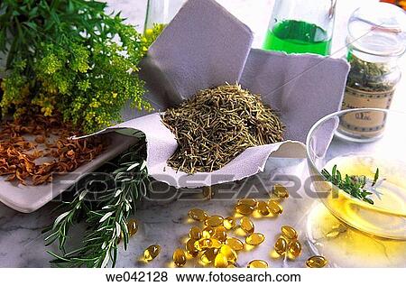 Medicinal herbs View Large Photo Image Stock Photo - Medicinal herbs. Fotosearch