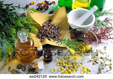 Medicinal herbs View Large Photo Image Stock Photo - Medicinal herbs. Fotosearch