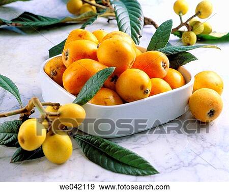 Medlars View Large Photo Image Stock Photo - Medlars. Fotosearch