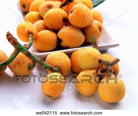 Medlars View Large Photo Image Stock Photography - Medlars. Fotosearch