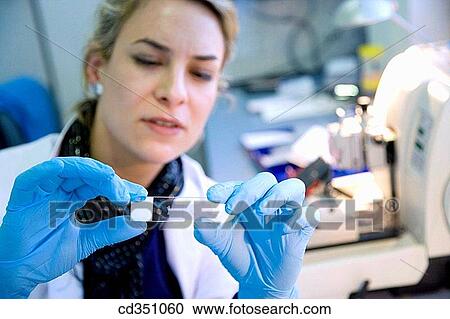 Stock Image - Microtome, R+D department, biopharmaceutical lab, development and production of innovative drugs using adult stem cells, Cellerix, Grupo Genetrix, Madrid. Fotosearch