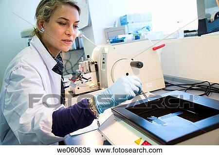 Microtome, R+D department, biopharmaceutical lab, development and production of innovative drugs using adult stem cells, Cellerix, Grupo Genetrix, Madrid View Large Photo Image Stock Photography - Microtome, R+D department, biopharmaceutical lab, development and production of innovative drugs using adult stem cells, Cellerix, Grupo Genetrix, Madrid. Fotosearch