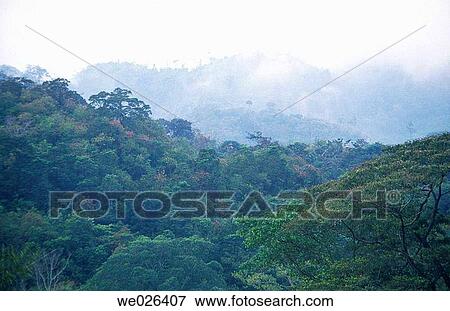 Montes Azules biosphere reserve. Chiapas, Mexico View Large Photo Image Stock Photo - Montes Azules biosphere reserve. Chiapas, Mexico. Fotosearch