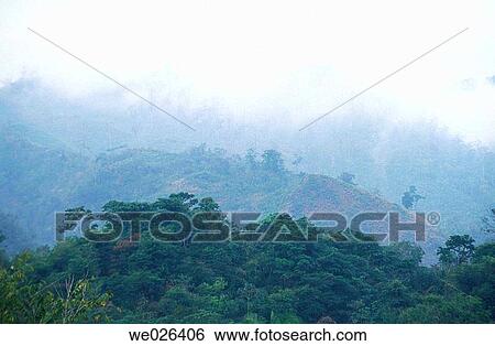 Montes Azules biosphere reserve. Chiapas, Mexico View Large Photo Image Stock Photograph - Montes Azules biosphere reserve. Chiapas, Mexico. Fotosearch