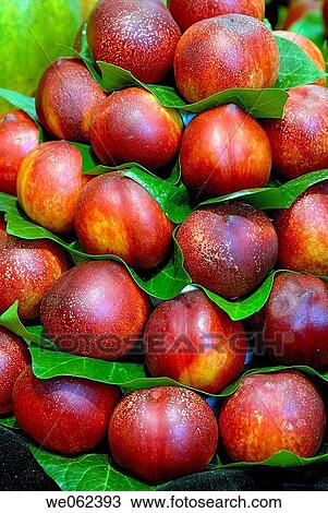 Nectarines at La Boqueria market, Barcelona. Catalonia, Spain View Large Photo Image Stock Image - Nectarines at La Boqueria market, Barcelona. Catalonia, Spain. Fotosearch