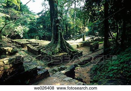 Palenque. Chiapas, Mexico View Large Photo Image Stock Photo - Palenque. Chiapas, Mexico. Fotosearch
