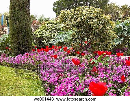 Stock Image - Parc Phoenix, Nice. French Riviera, Alpes-Maritimes, France. Fotosearch