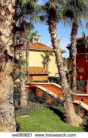 Partial view of a hotel with vegetation of Los Cabos, Baja California, Mexico, Latin America View Large Photo Image Stock Image - Partial view of a hotel with vegetation of Los Cabos, Baja California, Mexico, Latin America. Fotosearch
