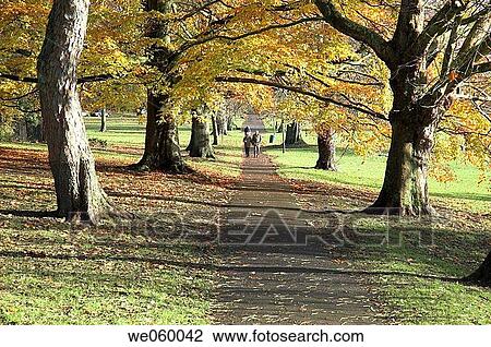 Path through a city park with trees changing colour during Autumn. View Large Photo Image Stock Image - Path through a city park with trees changing colour during Autumn.. Fotosearch