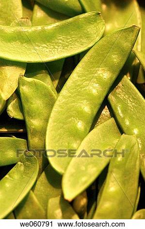 Peas. La Boquer? a market. Barcelona. Spain. View Large Photo Image Stock Image - Peas. La Boquer? a market. Barcelona. Spain.. Fotosearch