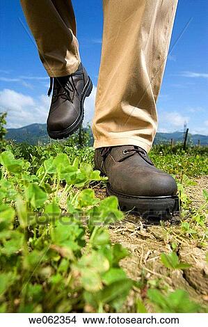 Protective boots, field View Large Photo Image Picture - Protective boots, field. Fotosearch