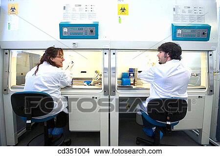 Purification of Leukocytes in laminar flow cabinet, culture room, biopharmaceutical lab, development of new therapeutic molecules based on human antibodies for the treatment of infectious and inflammatory diseases, Biotherapix, Grupo Genetrix, Madrid View Large Photo Image Picture - Purification of Leukocytes in laminar flow cabinet, culture room, biopharmaceutical lab, development of new therapeutic molecules based on human antibodies for the treatment of infectious and inflammatory diseases, Biotherapix, Grupo Genetrix, Madrid. Fotosearch