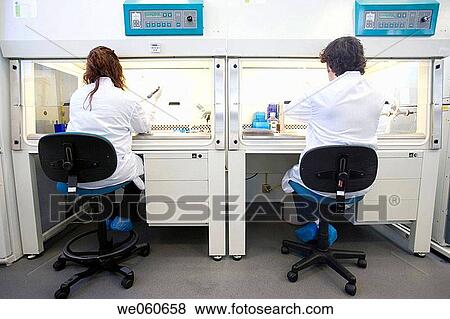 Purification of Leukocytes in laminar flow cabinet, culture room, biopharmaceutical lab, development of new therapeutic molecules based on human antibodies for the treatment of infectious and inflammatory diseases, Biotherapix, Grupo Genetrix, Madrid View Large Photo Image Stock Photo - Purification of Leukocytes in laminar flow cabinet, culture room, biopharmaceutical lab, development of new therapeutic molecules based on human antibodies for the treatment of infectious and inflammatory diseases, Biotherapix, Grupo Genetrix, Madrid. Fotosearch