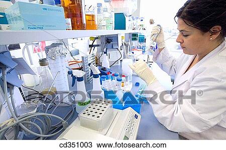 R+D department, biopharmaceutical lab, development and production of innovative drugs using adult stem cells, Cellerix, Grupo Genetrix, Madrid View Large Photo Image Stock Image - R+D department, biopharmaceutical lab, development and production of innovative drugs using adult stem cells, Cellerix, Grupo Genetrix, Madrid. Fotosearch