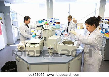 R+D department, biopharmaceutical lab, development and production of innovative drugs using adult stem cells, Cellerix, Grupo Genetrix, Madrid View Large Photo Image Stock Photography - R+D department, biopharmaceutical lab, development and production of innovative drugs using adult stem cells, Cellerix, Grupo Genetrix, Madrid. Fotosearch