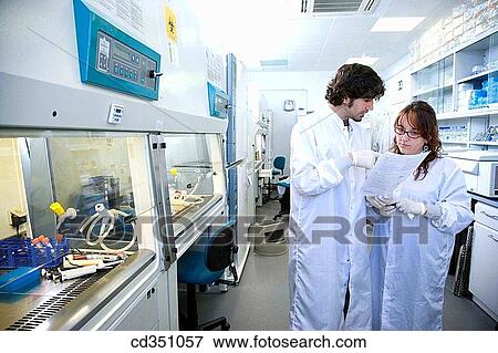 Researchers discussing working protocols, culture room, biopharmaceutical lab, development of new therapeutic molecules based on human antibodies for the treatment of infectious and inflammatory diseases, Biotherapix, Grupo Genetrix, Madrid View Large Photo Image Stock Photo - Researchers discussing working protocols, culture room, biopharmaceutical lab, development of new therapeutic molecules based on human antibodies for the treatment of infectious and inflammatory diseases, Biotherapix, Grupo Genetrix, Madrid. Fotosearch
