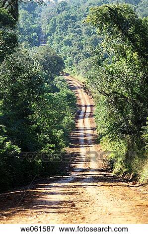 Road to Iguaz·. Brazil / Argentina border View Large Photo Image Stock Photo - Road to Iguaz·. Brazil / Argentina border. Fotosearch