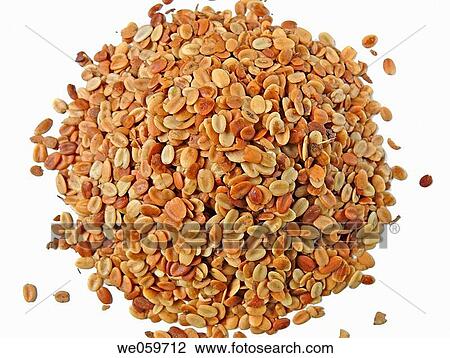 Roasted coriander seeds (Coriandrum sativum) View Large Photo Image Stock Image - Roasted coriander seeds (Coriandrum sativum). Fotosearch