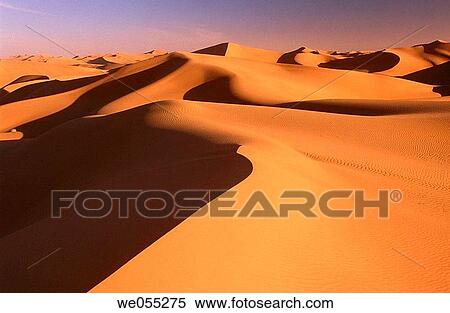 Sand dunes in desert, Grand Erg Oriental, Sahara. Algeria View Large Photo Image Stock Photography - Sand dunes in desert, Grand Erg Oriental, Sahara. Algeria. Fotosearch